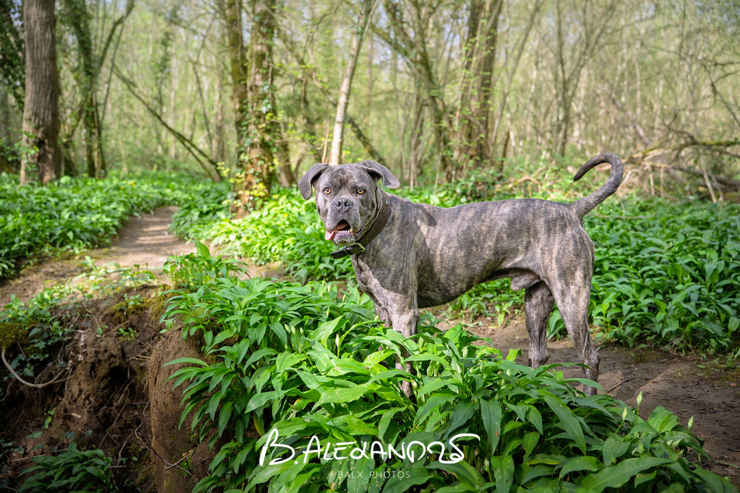 Séance photo particuliers