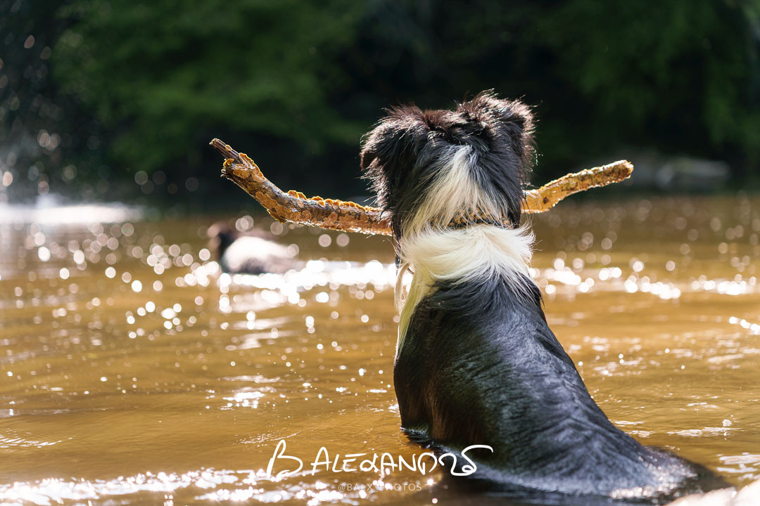 Séance photo particuliers