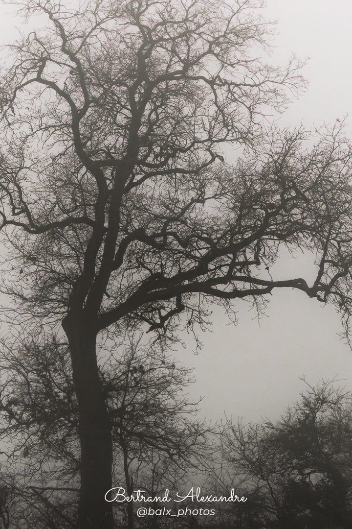 Photo 001 | Bertrand ALEXANDRE – Instants volés
