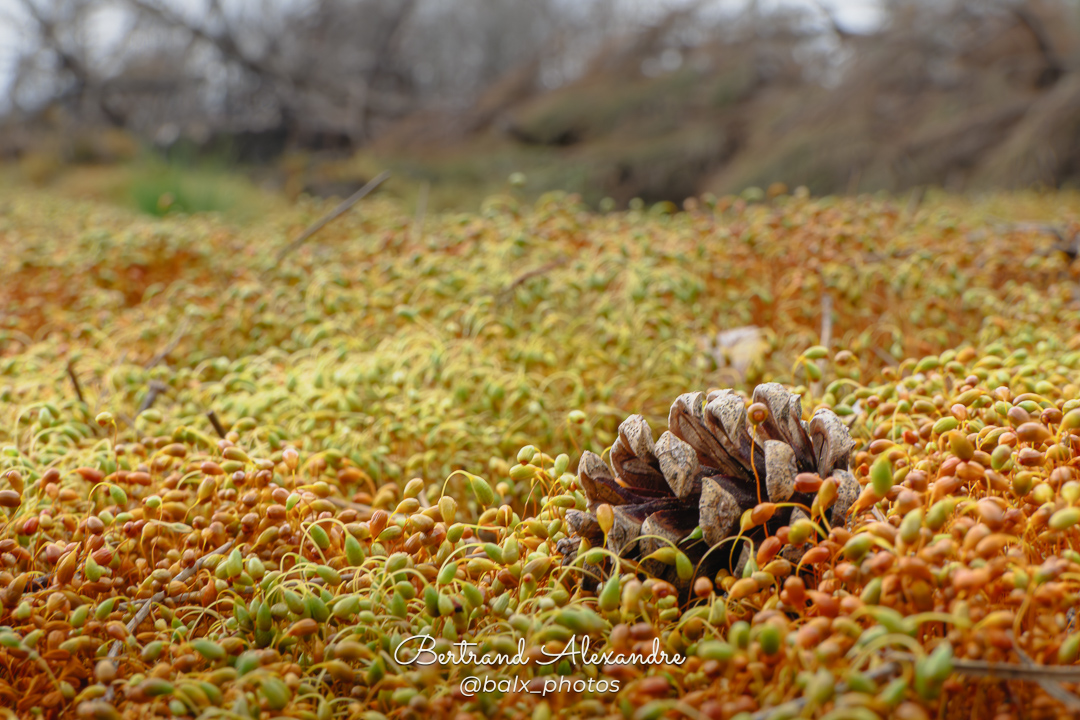 Photo 005 | Bertrand ALEXANDRE – Instants volés
