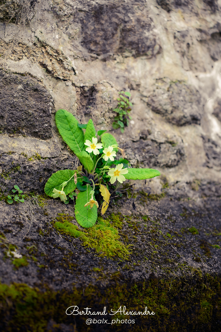 Photo 020 | Bertrand ALEXANDRE – Instants volés