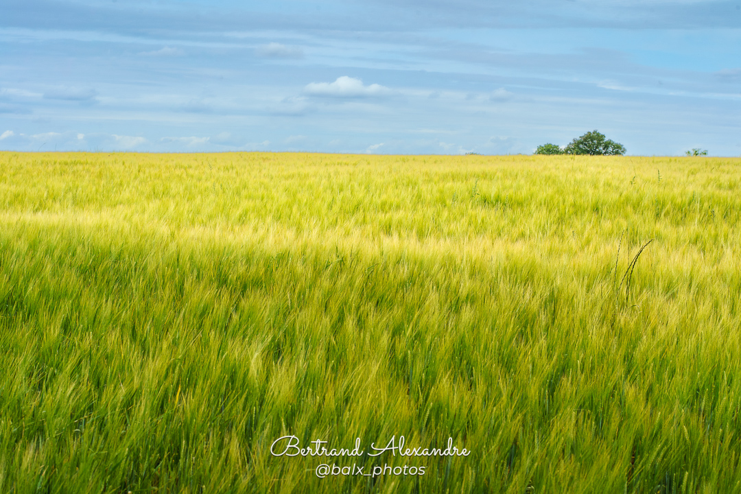 Photo 024 | Bertrand ALEXANDRE – Instants volés