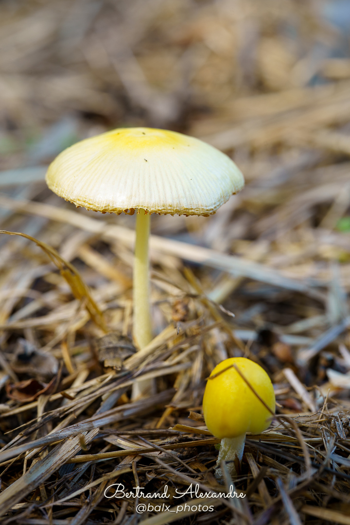 Photo 038 | Bertrand ALEXANDRE – Instants volés