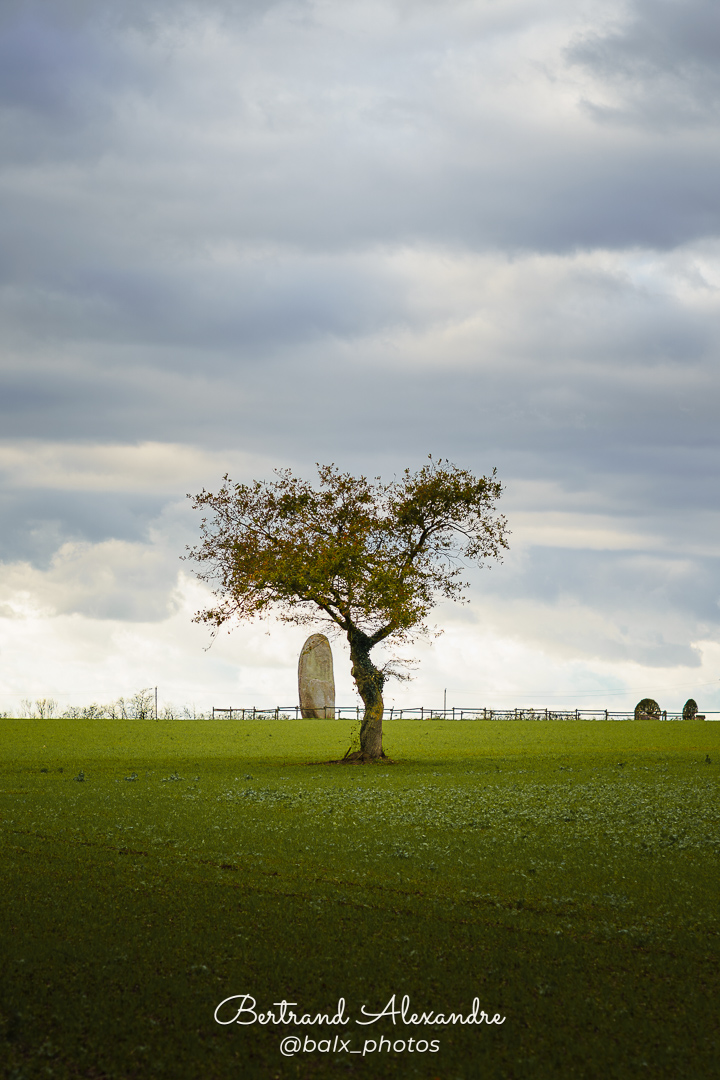 Photo 043 | Bertrand ALEXANDRE – Instants volés