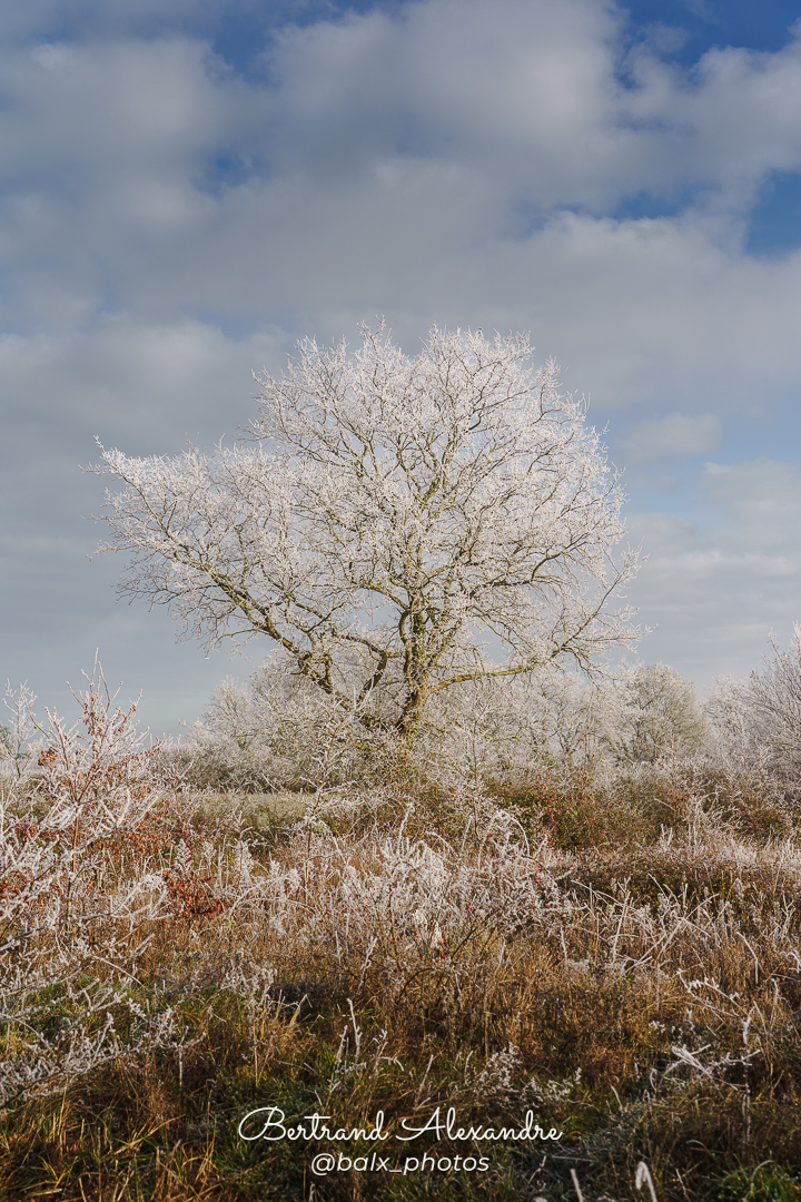 Photo 048 | Bertrand ALEXANDRE – Instants volés