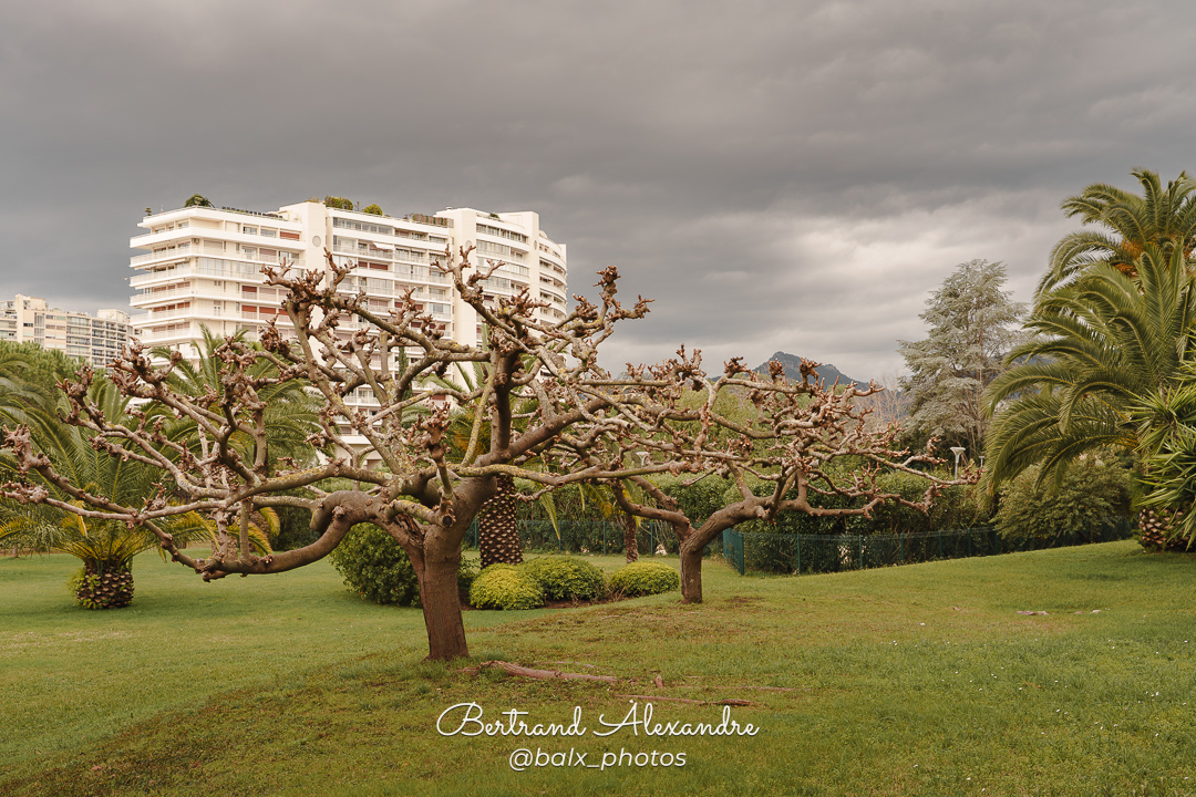 Photo 050 | Bertrand ALEXANDRE – Instants volés
