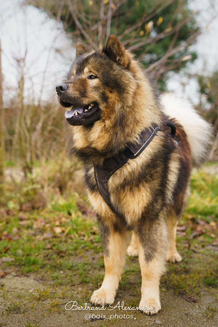 Photo 002 | Bertrand ALEXANDRE – Compagnons