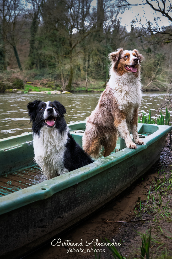 Photo 007 | Bertrand ALEXANDRE – Compagnons