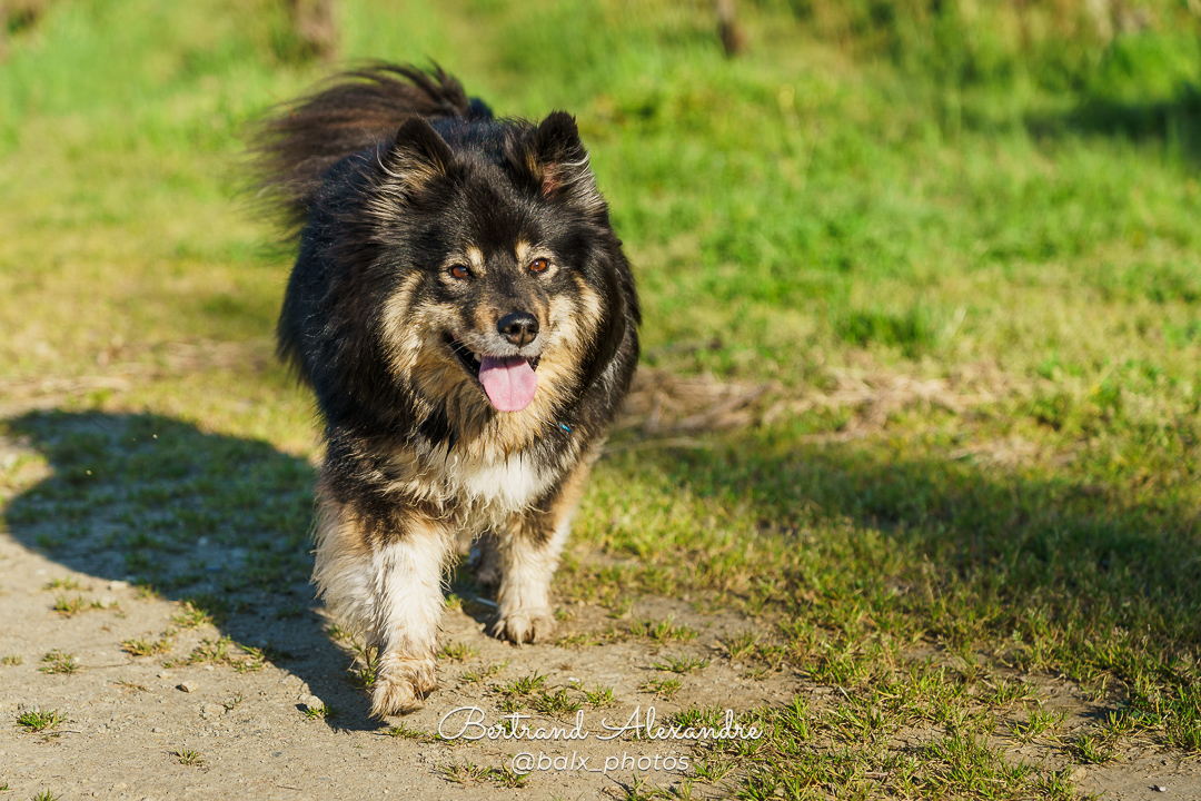 Photo 008 | Bertrand ALEXANDRE – Compagnons