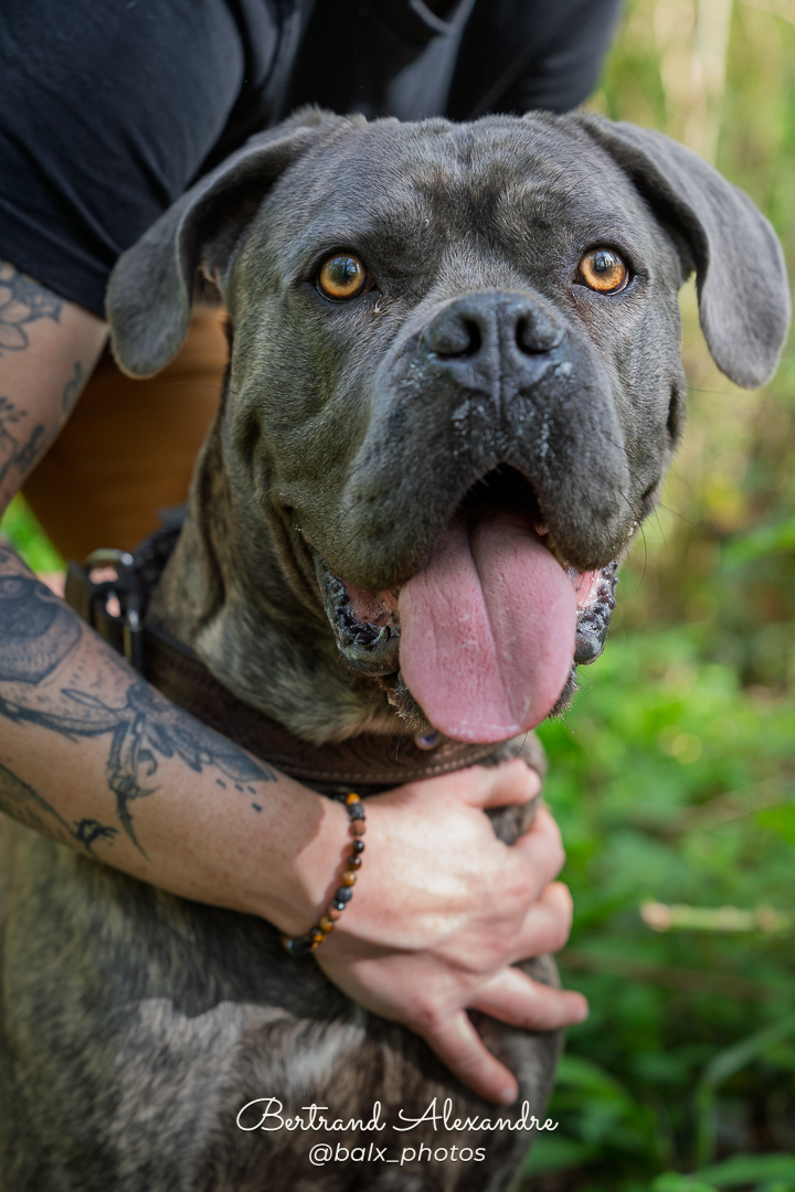 Photo 010 | Bertrand ALEXANDRE – Compagnons