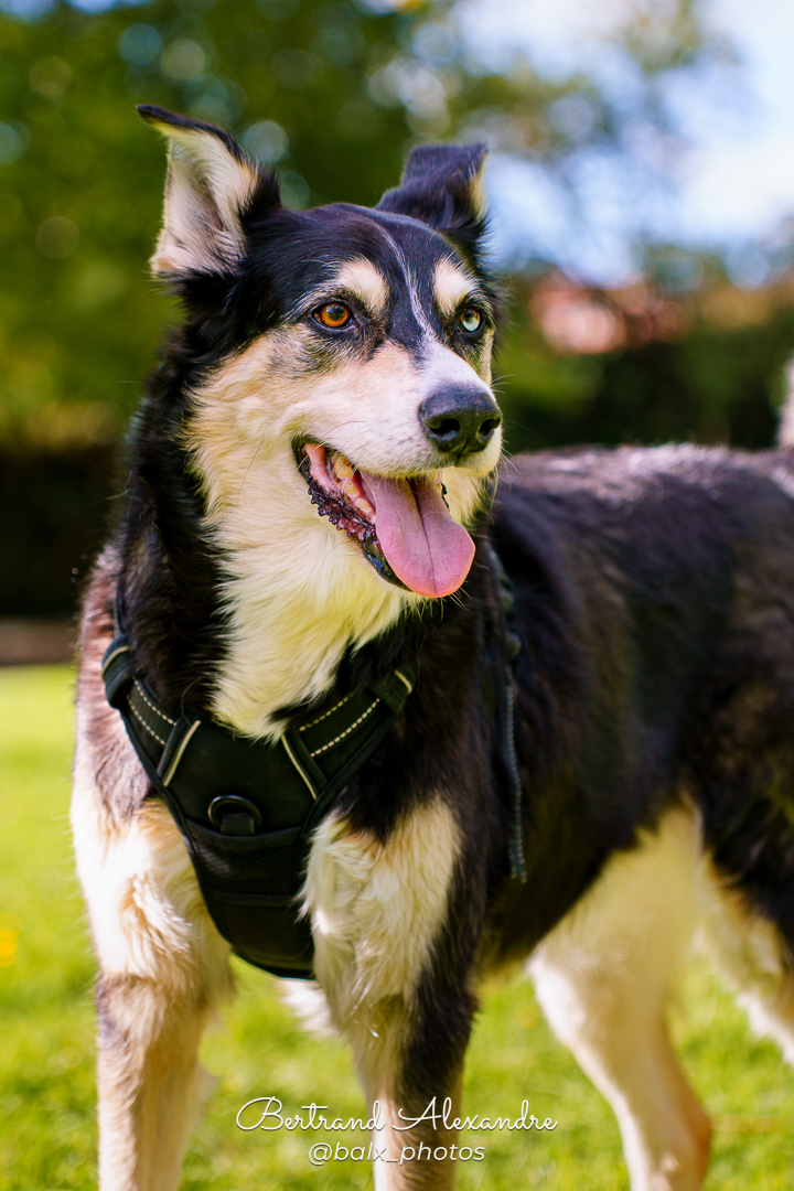 Photo 023 | Bertrand ALEXANDRE – Compagnons