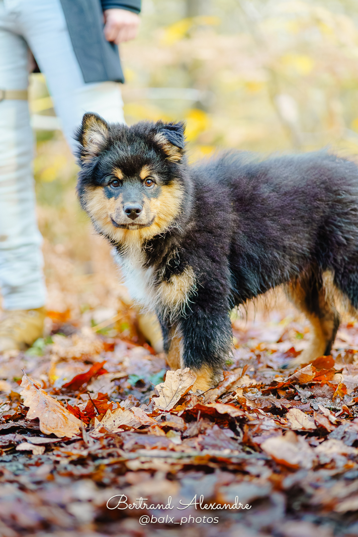 Photo 026 | Bertrand ALEXANDRE – Compagnons