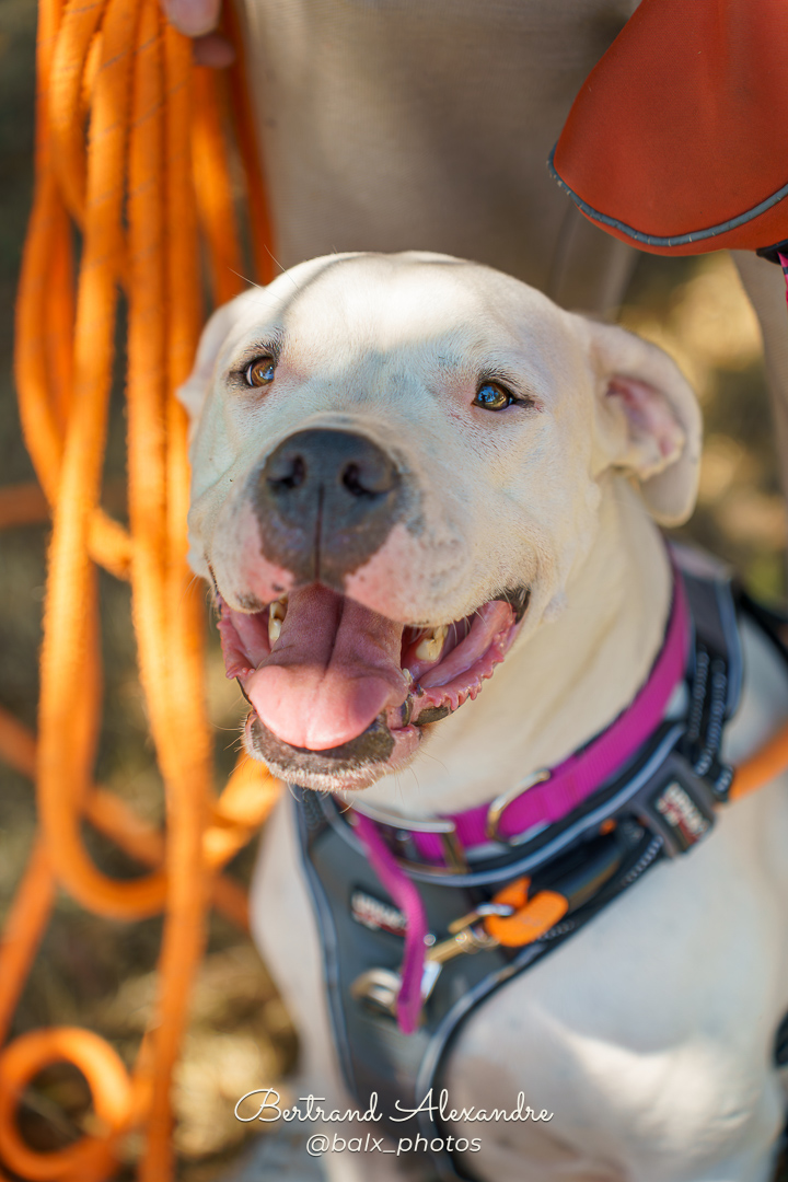 Photo 031 | Bertrand ALEXANDRE – Compagnons