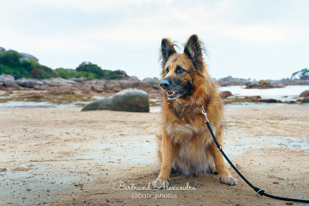 Photo 033 | Bertrand ALEXANDRE – Compagnons