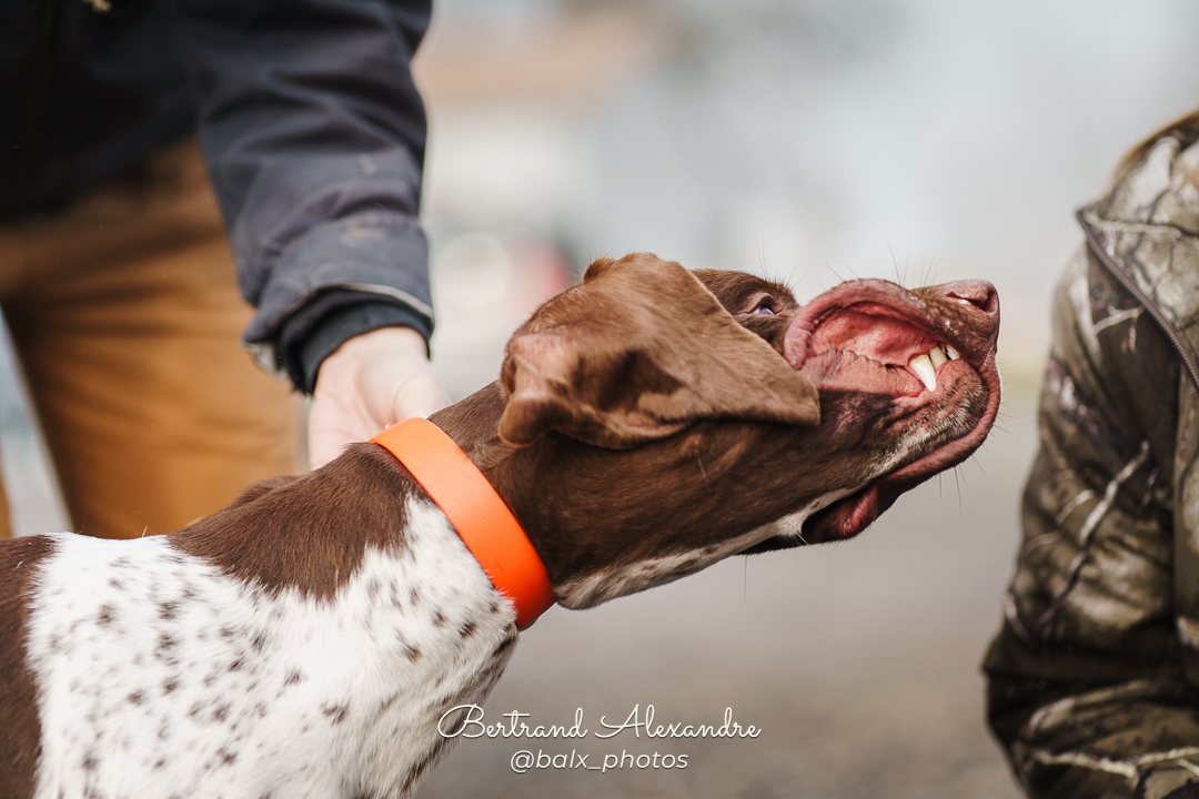 Photo 037 | Bertrand ALEXANDRE – Compagnons